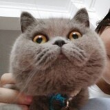 mingweixiamidelan___