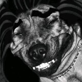 newKobe-จ่าสงKobe