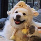 wuliaoxiaoshuojia_