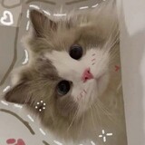 Trần Q.Hương_5412