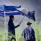 huohuazhangming