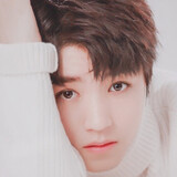 hongdankaisuwang