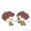koutongxue_