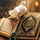 Ashif Khan_3859