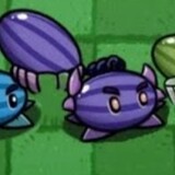pvz-andans