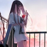 haoyunlaige-