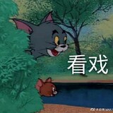 shenzhoushumabaobei