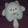 Nyao the Blue Cat
