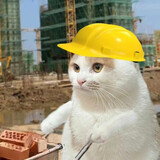 yuanbing___meme