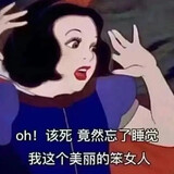qixiang___youli