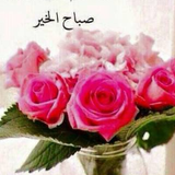 YES I LOVE YOU