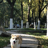 sophie_5_03_02