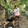 JOPAY 143