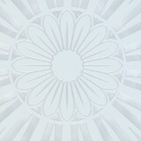 Clean_Xemond