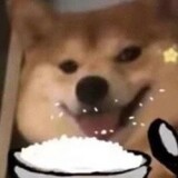 gaogaoei