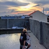 Gunkgpp