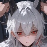 shira...0