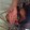 farhanpogi123