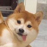 ciqijintianchishenme