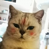 yuanlh555