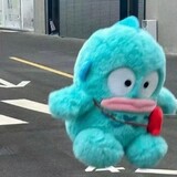 t-raonianyi