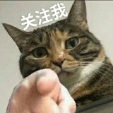 hunhunxiao___me
