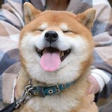 renhaijun