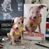 John ronald Mel_2186