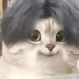 jiongrzxinsai