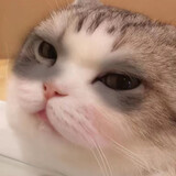 gongxiangdadi