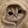 Ms. meow meow