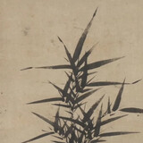 shuhuayitongyuan