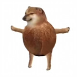 shengjianbingo