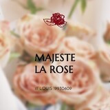 majestelarose