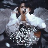 Angel Wings 22X
