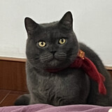beishanjundayz