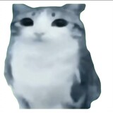 dingmourenshuijue