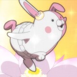 chishuangwazilu