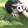 hjxy-