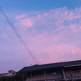 xieyuyangui