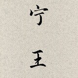 zhanxinghezxh