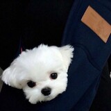 jolynn_cc