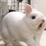 bumubumu