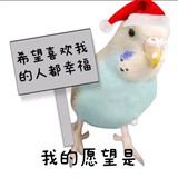 pixiaopi-yingyushiji