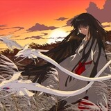 -feng-qi-