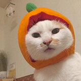 oraeiaiyamapi_04_02