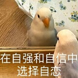 shanlinongcunwa