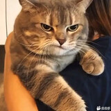 wugurulai