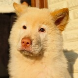 yizhiduobao-