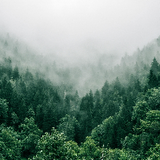 Nature_Sounds